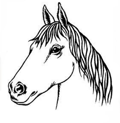 483x495 Best Photos Of Horse Head Outline