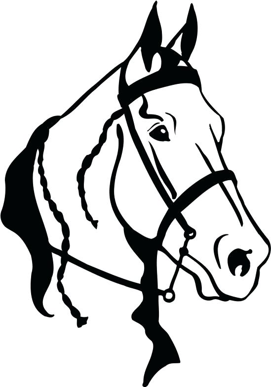 Horse Head Drawing Outline at GetDrawings | Free download