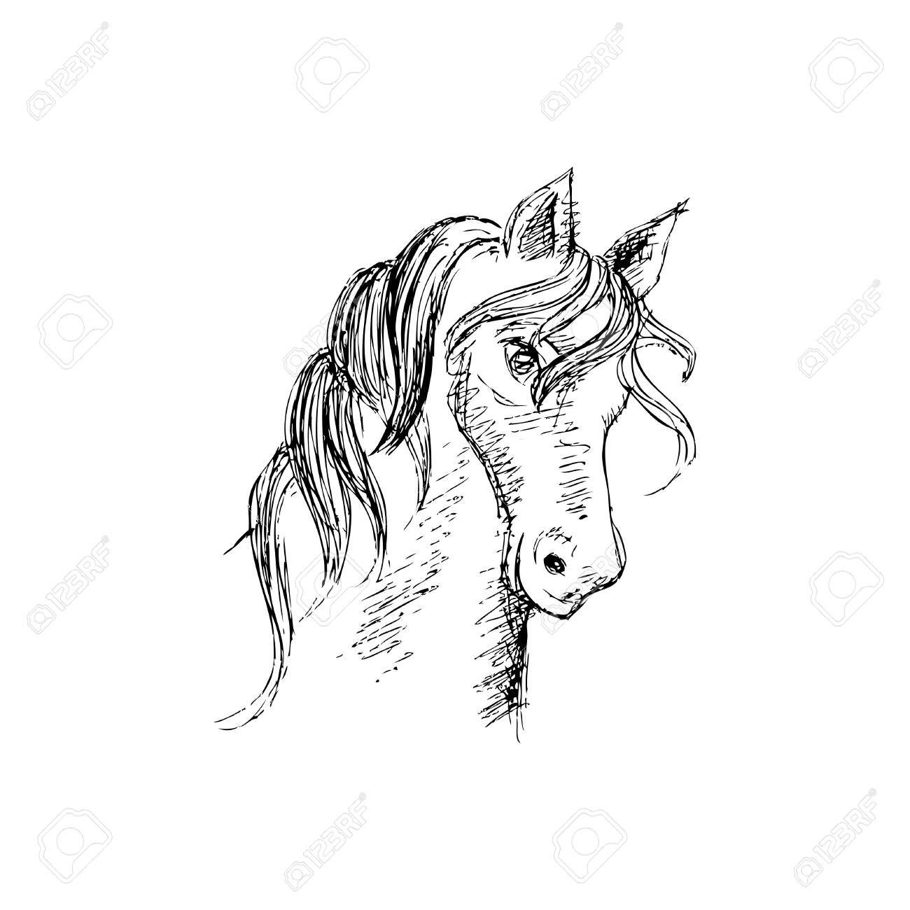 1300x1300 Hand Drawing Horse Head Royalty Free Cliparts, Vectors, And Stock