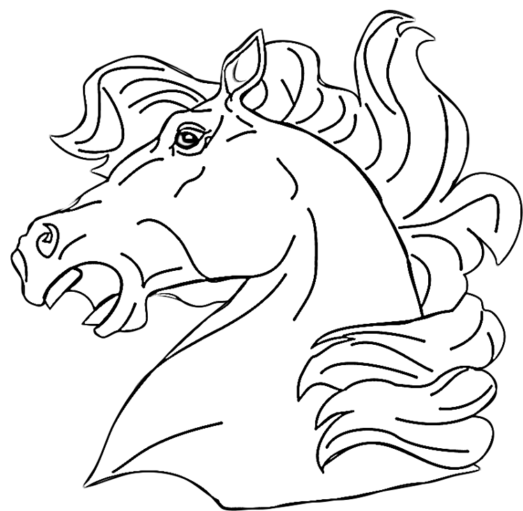 750x732 Horse Head Coloring Pages