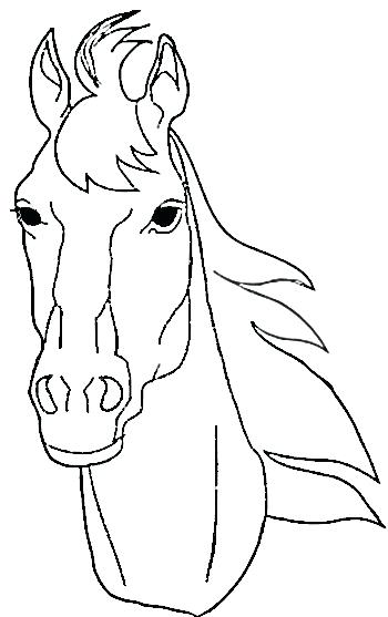 350x557 Horse Head Coloring Pages Realistic Horse Coloring Pages Derby