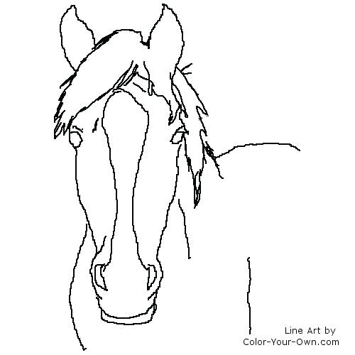500x500 Horse Head Coloring Pages Running Coloring Pages Top Page Horses