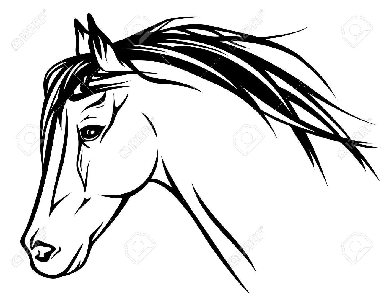 1300x1023 Horse Head Drawing Outline