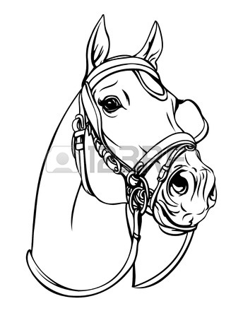 344x450 Horse Head Line Art Drawing. Equestrian Training Theme