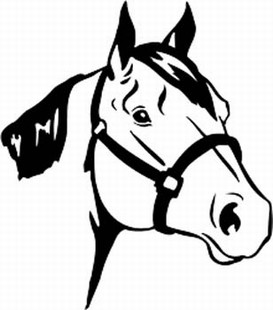 273x310 Quarter Horse Head Decal Horses Animal Decals Decals