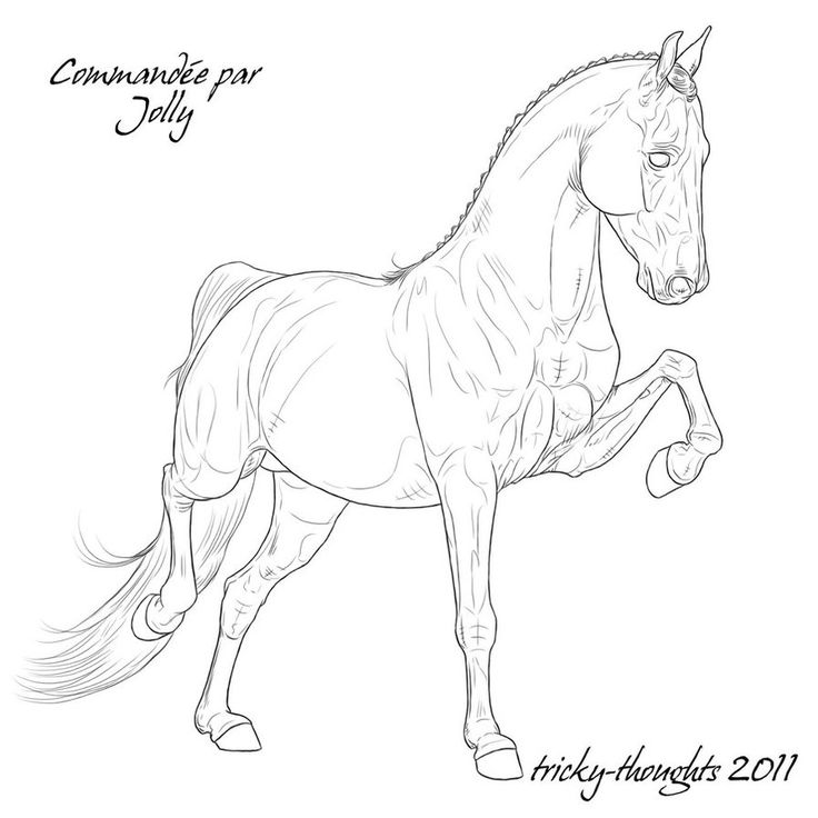 736x736 Drawn Horse Front