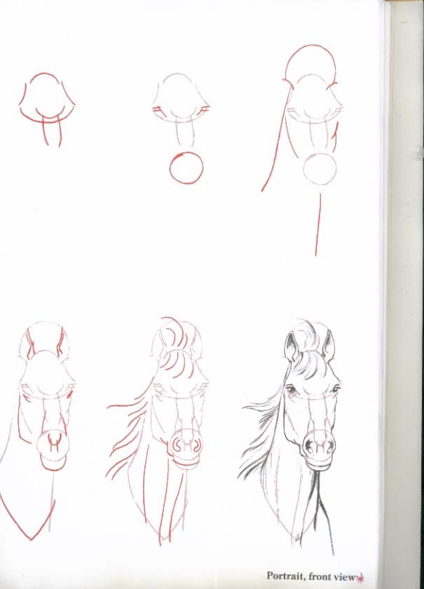 605x840 How To Draw Horses