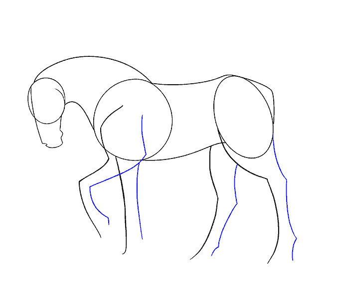 678x600 How To Draw A Simple Horse Easy Drawing Guides