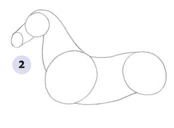 350x258 Learn How To Draw A Horse