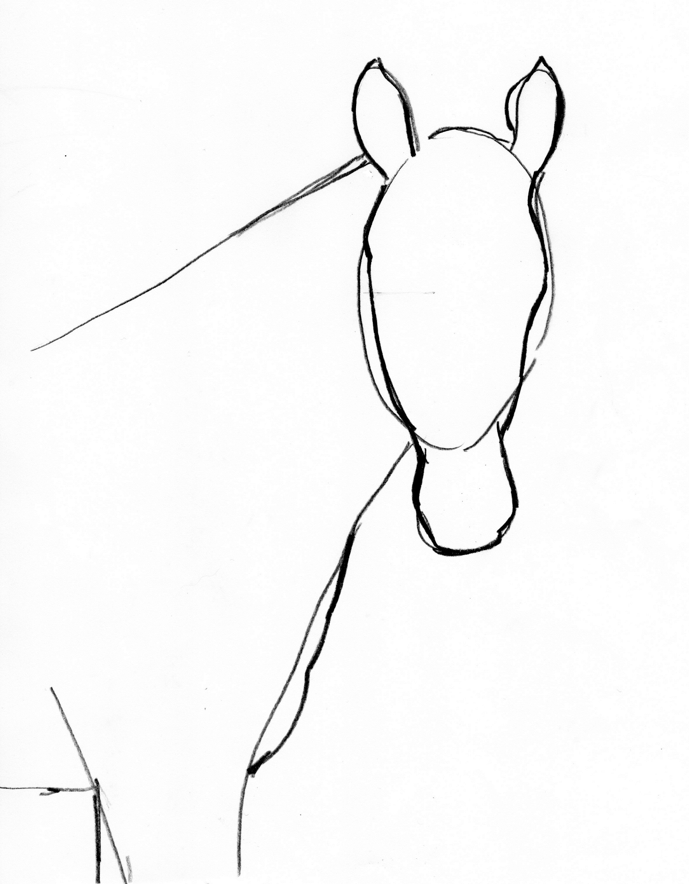 2353x3017 Horse Drawing Step By Step