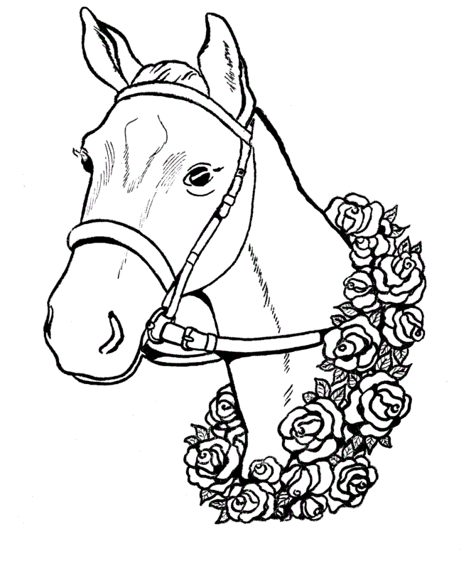 670x820 Horse Head Coloring Page Many Interesting Cliparts