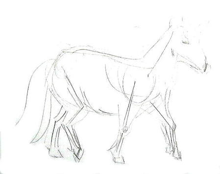 449x355 How To Draw A Realistic Pony