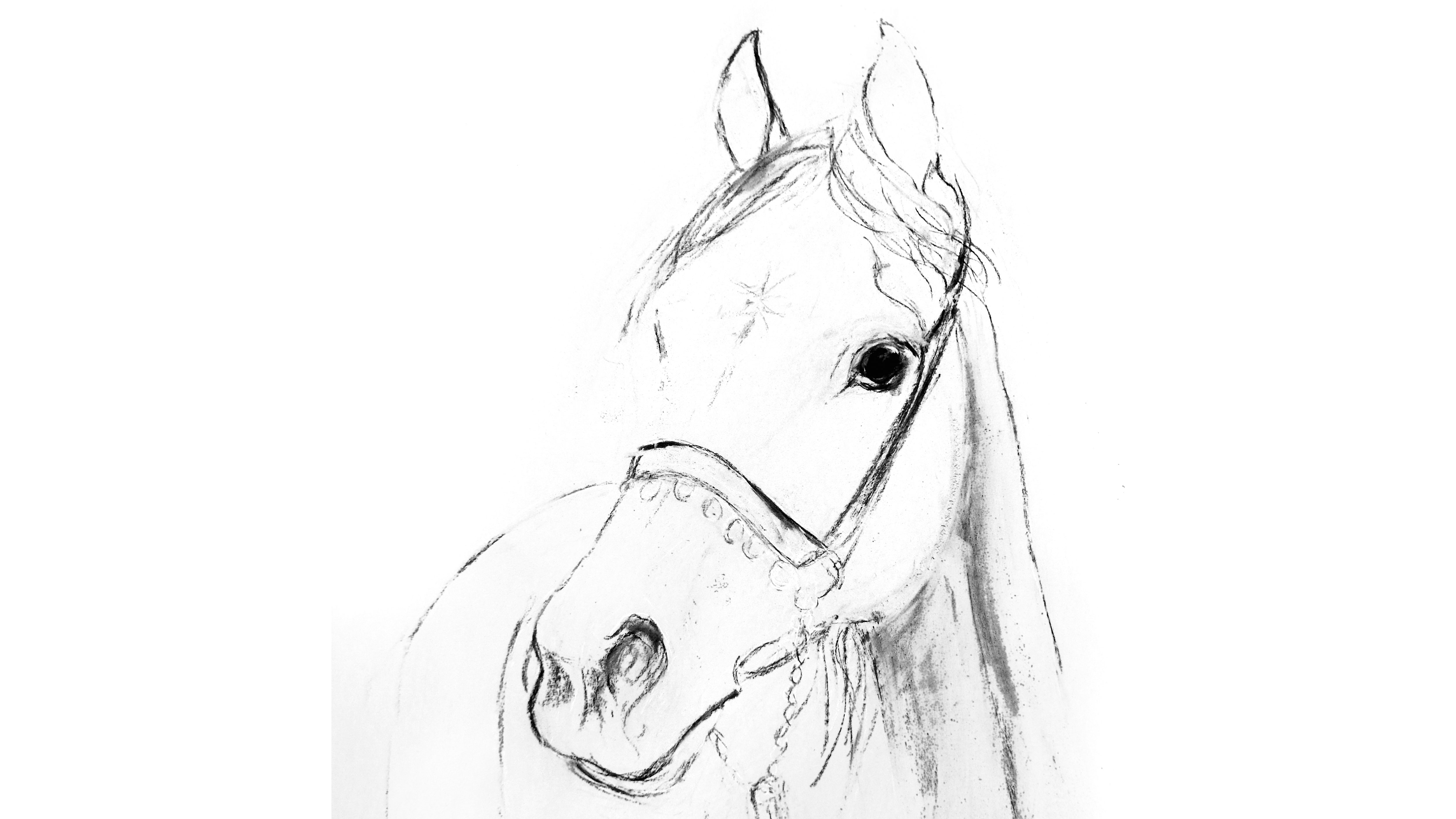 5000x2813 Paint Amp Draw