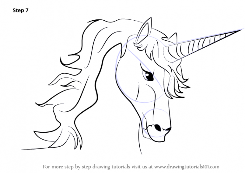 805x570 Drawing How Draw A Unicorn Step By Stepgether With How