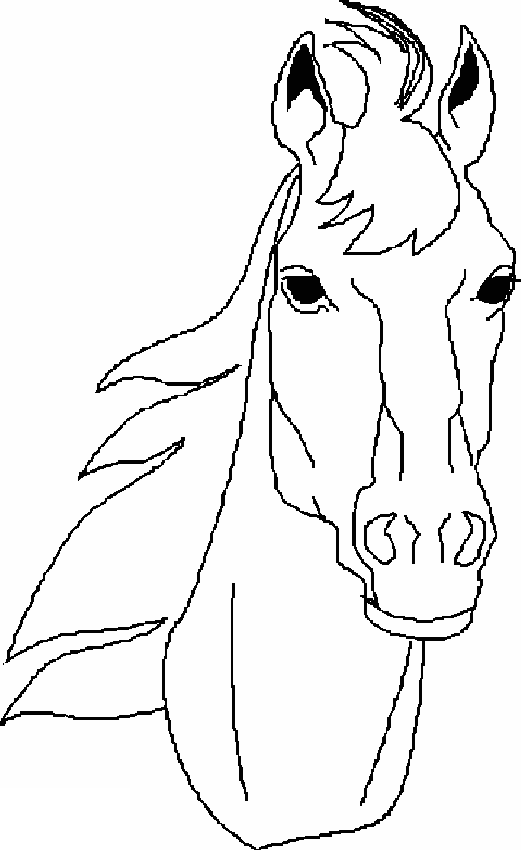 521x850 Horse Head Coloring Page