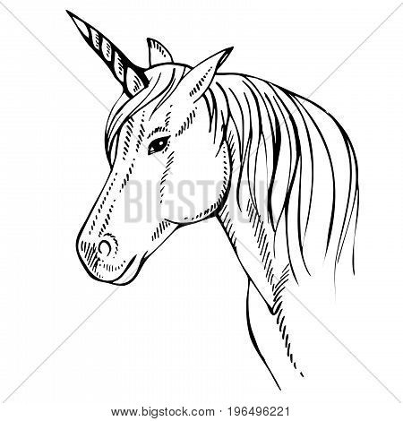 450x470 Horse Head Silhouette Images, Illustrations, Vectors