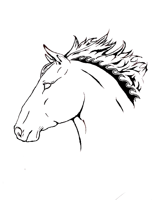 518x681 Horse Head Tribal Tattoo 2. By White Wind1