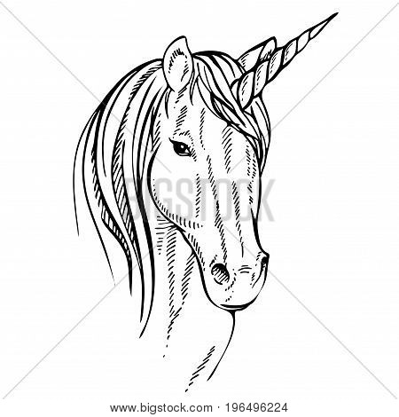 450x470 Horse Head Vector Images, Illustrations, Vectors