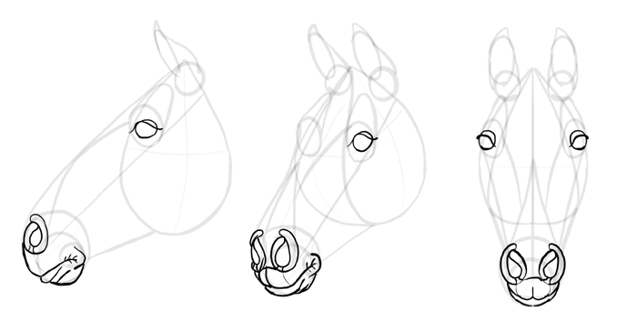 700x353 How To Draw Horses Step By Step Instructions