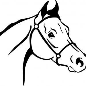 300x300 Horse Head Clip Art