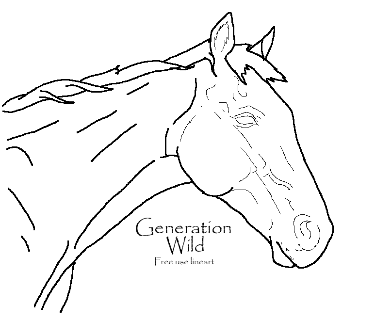 773x693 Horse Head Lineart By Generationwild