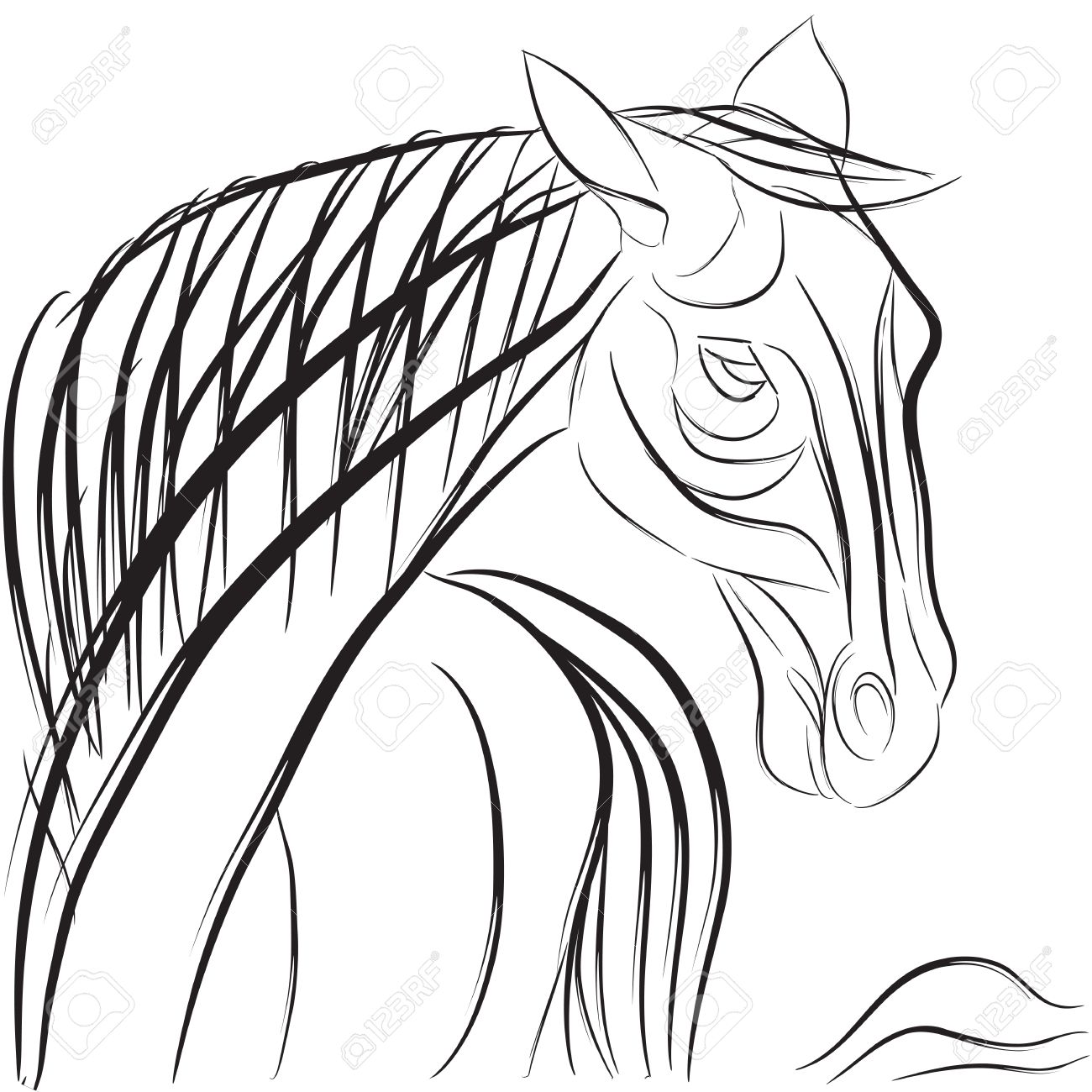 1300x1300 Drawn Profile Horse Head