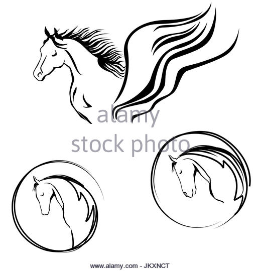 520x540 Horse Head Cut Out Stock Images Amp Pictures