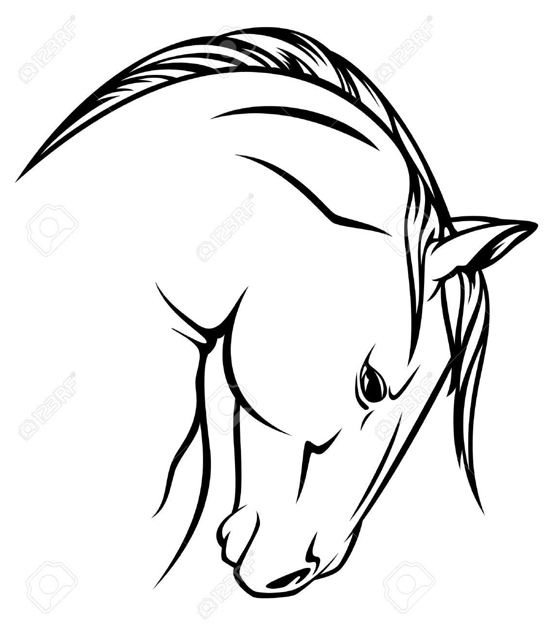 1124x1300 15 Black And White Horse Head Pictures Ideas Black And White