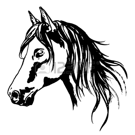 The best free Hoof drawing images. Download from 64 free drawings of ...