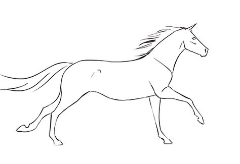 Horse Hoof Drawing at GetDrawings | Free download