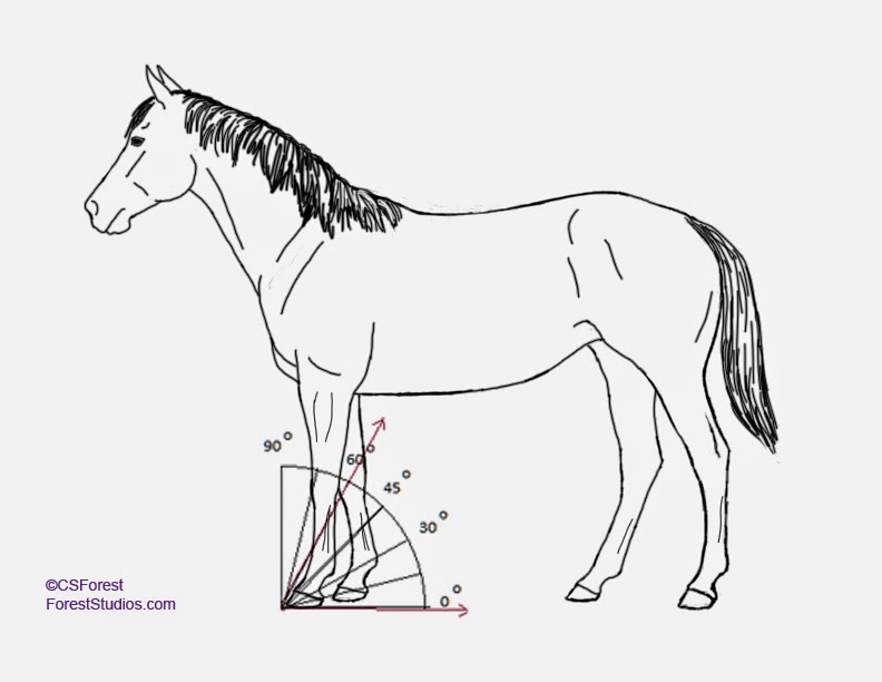 792x612 Forest Wildlife Art How To Draw Animals