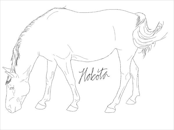 Horse Image Drawing