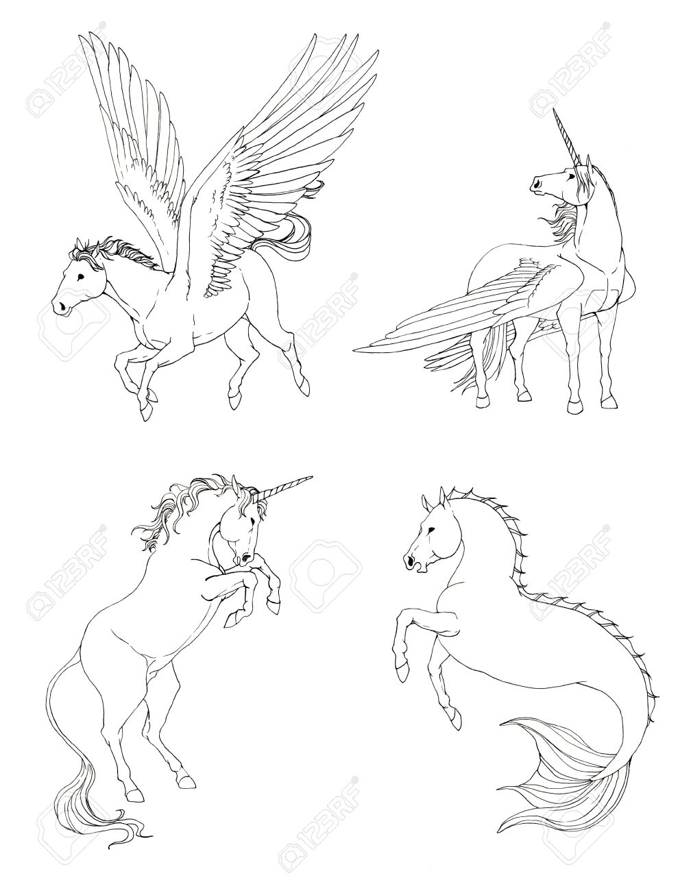1008x1300 Fantasy Horse Collection Set In Black And White Drawing