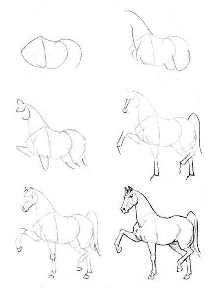 436x604 How To Draw A Horse Drawings Horse, Drawings