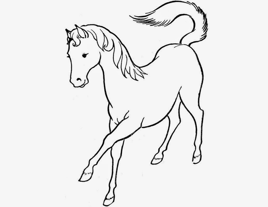 1033x798 Colour Drawing Free Hd Wallpapers Horse For Kids Coloring Page