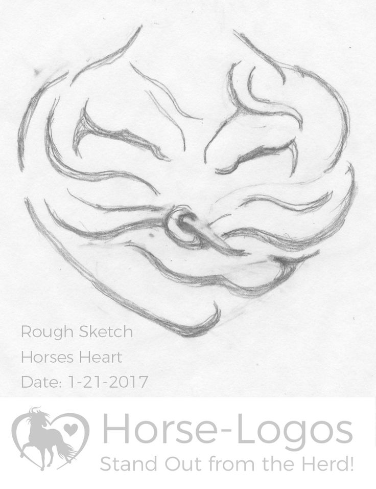 736x956 418 Best Horse Drawings Images On Horse Drawings