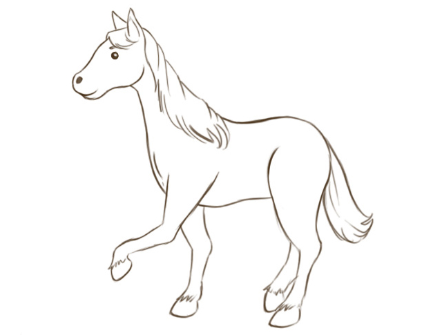 640x485 How To Draw A Horse Horse Fun