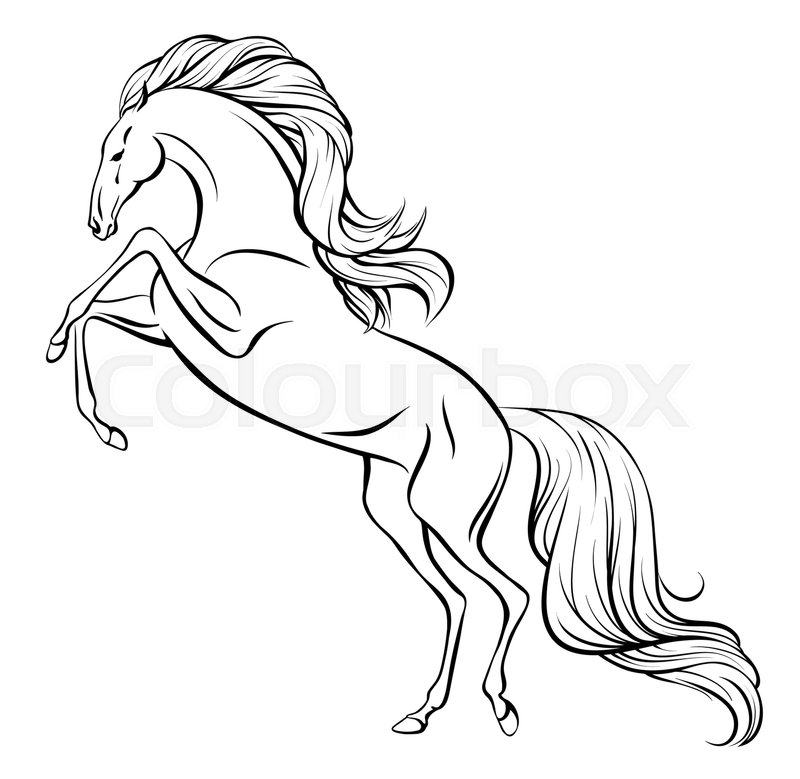 800x779 Outline Vector Drawing Of A Rearing Horse With Long Mane And Tail