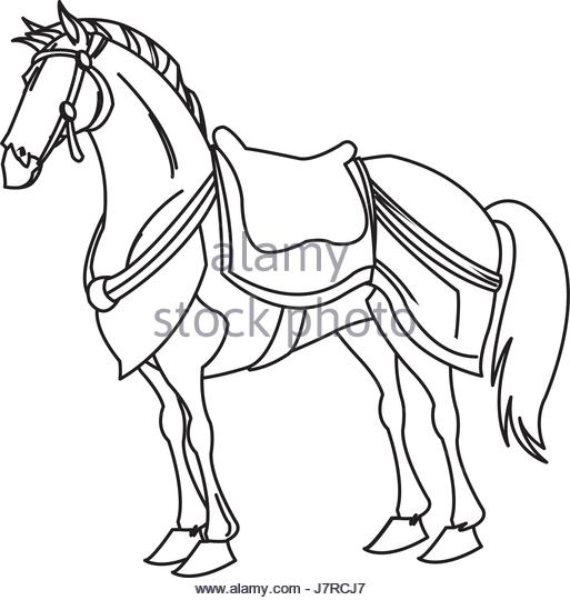 513x540 Warrior War Horse Stock Photos Amp Warrior War Horse Stock Images