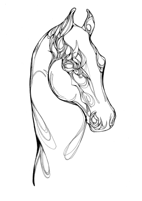 500x707 Horse Lineart Tumblr