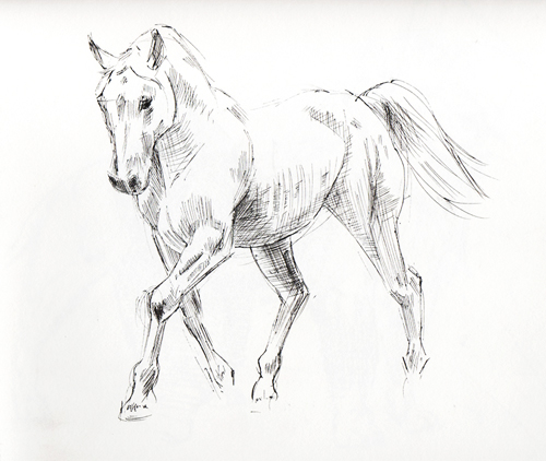 500x422 Ink Sketches