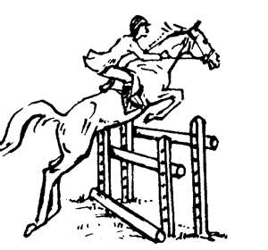 300x280 Horse Traders Tales From A Bad Eventer