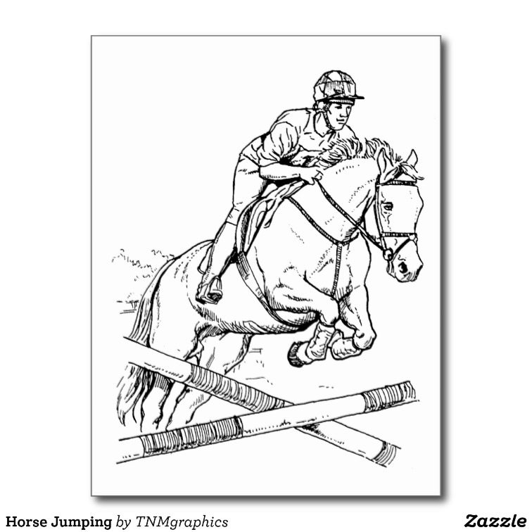756x756 Line Drawing Of A Rider Jumping A Horse Over A Barrier. Draw