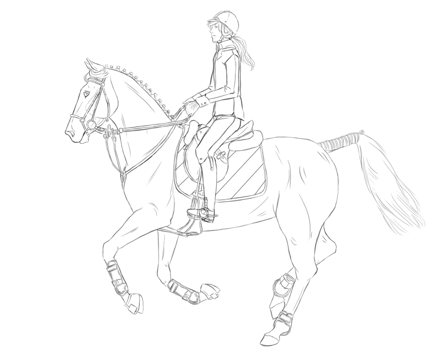 900x715 Show Jumping Lineart By Stableofares