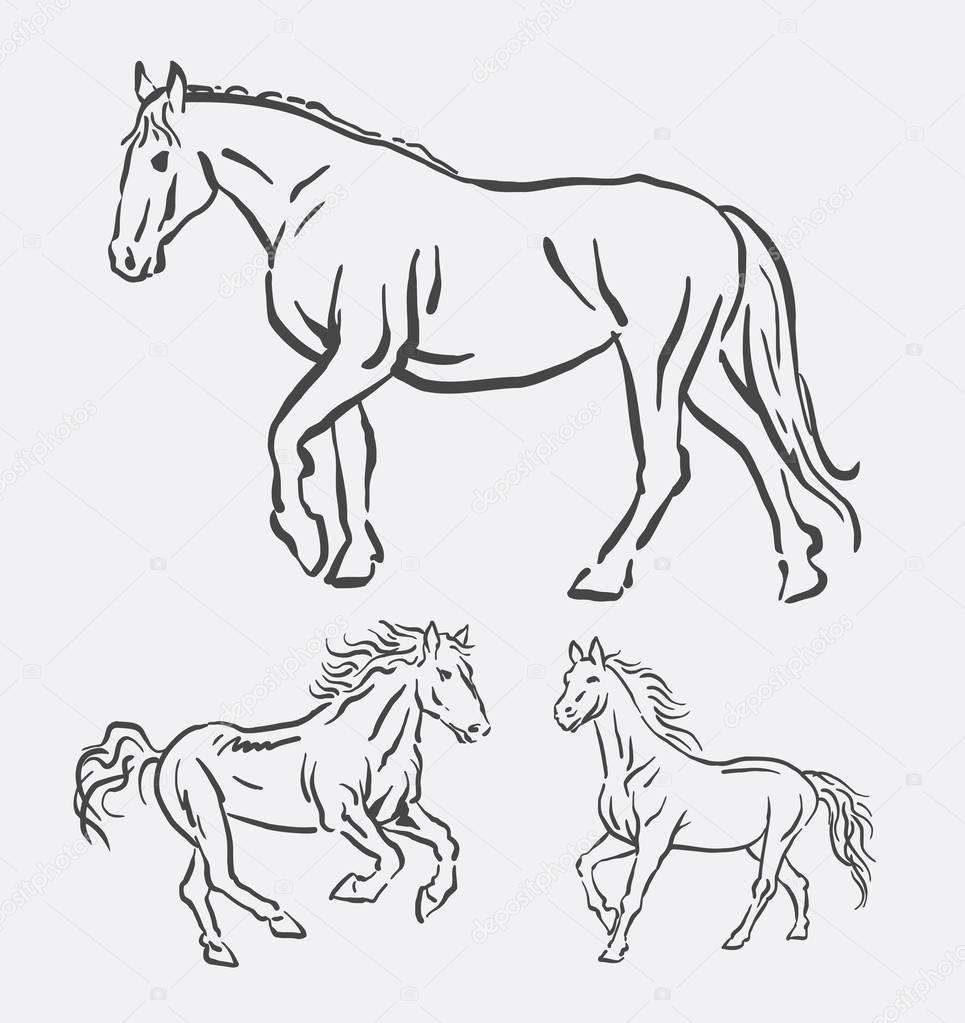 965x1023 Horse Pet Animal Line Art Drawing Stock Vector Cundrawan703