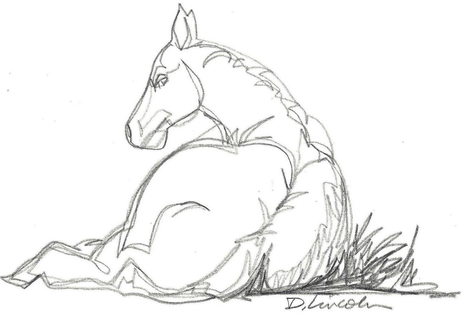 1600x1089 Now Or Never Siesta