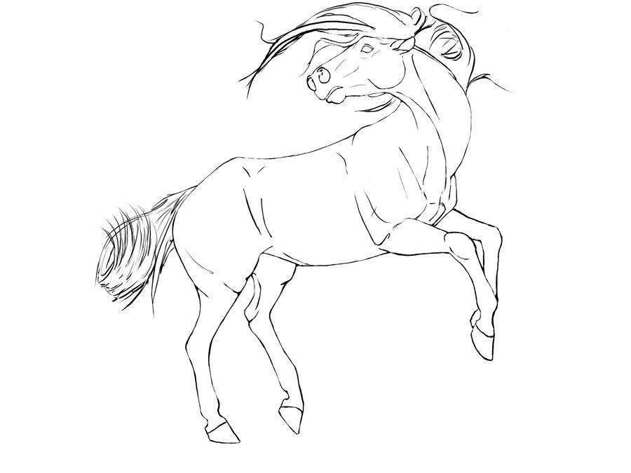 900x675 Rearing Horse Line Drawing
