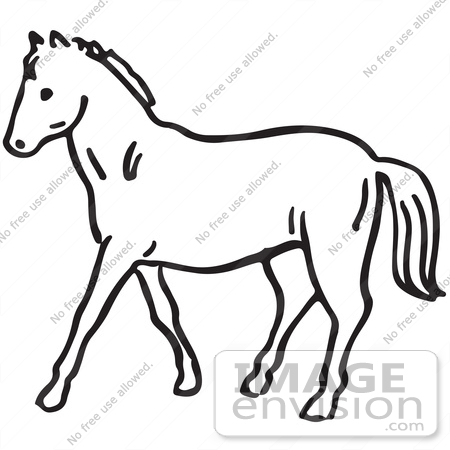 450x450 Drawn Horse Black And White