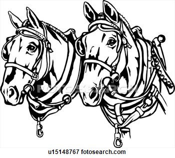 350x316 Horse Line Drawings Clip Art Illustration, Lineart, Animal