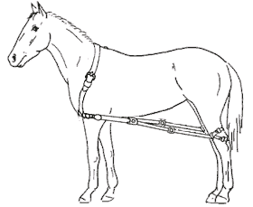 280x229 Leg Restraints